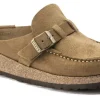 Buckley - Tea Suede