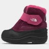 Toddler Alpenglow II - Boysenberry/TNF Black
