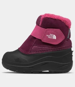 Toddler Alpenglow II - Boysenberry/TNF Black