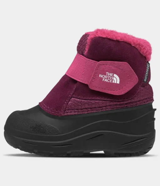 Toddler Alpenglow II - Boysenberry/TNF Black
