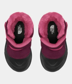 Toddler Alpenglow II - Boysenberry/TNF Black