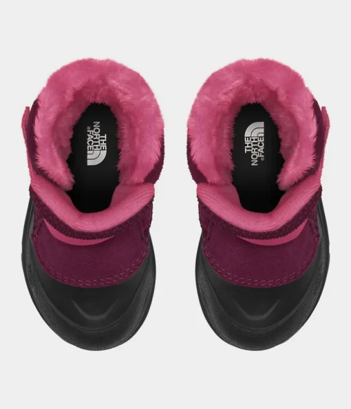 Toddler Alpenglow II - Boysenberry/TNF Black