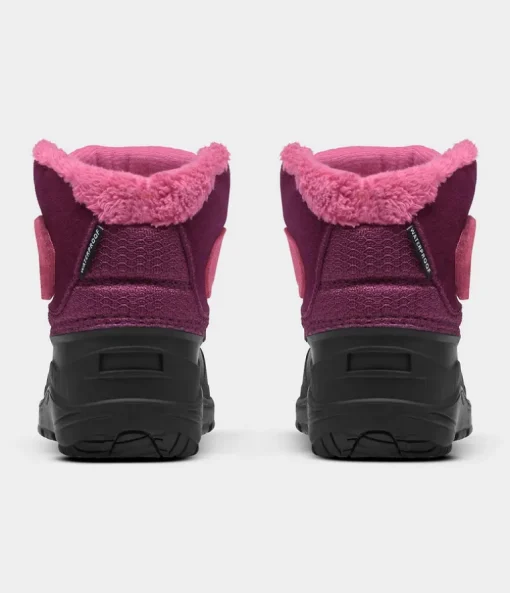 Toddler Alpenglow II - Boysenberry/TNF Black